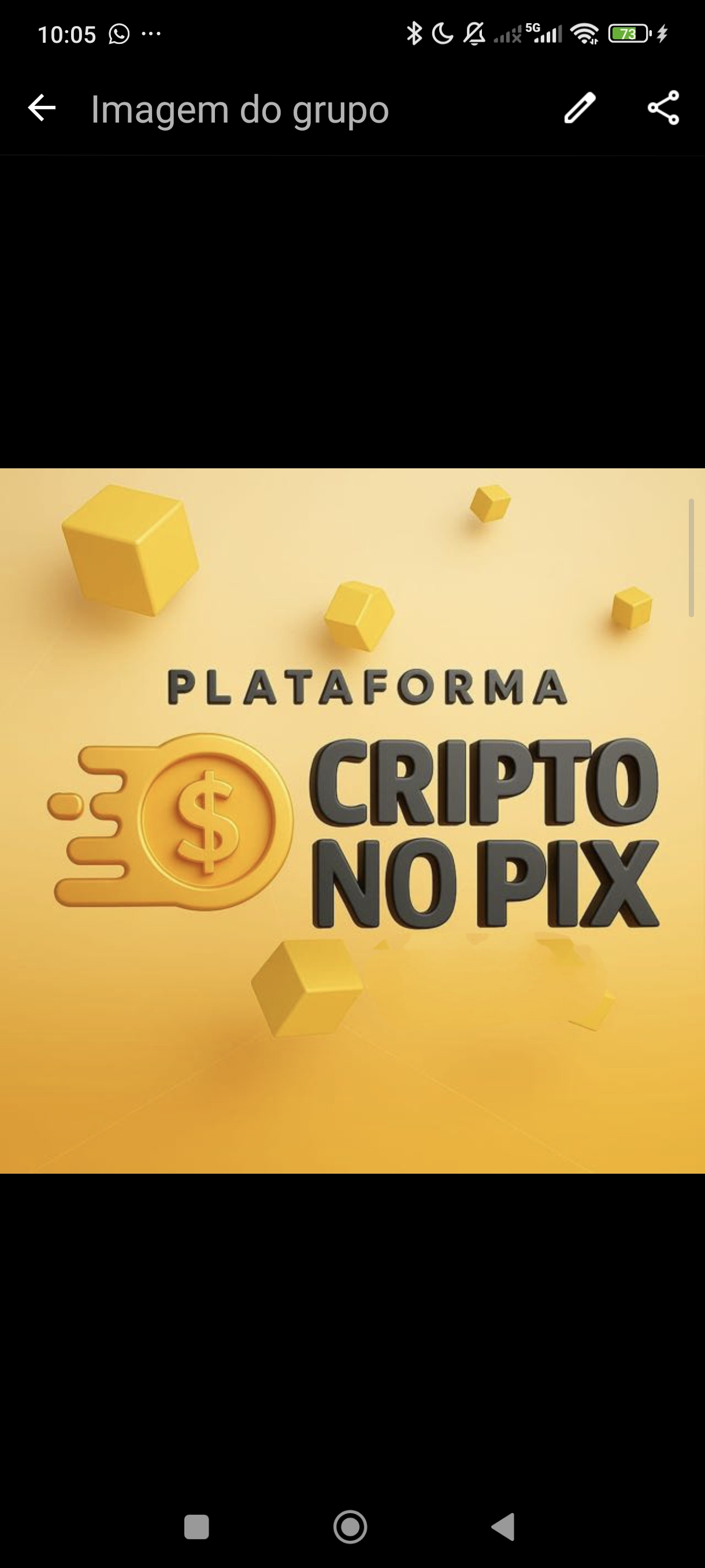Imagem do Grupo de WhatsApp CriptoNoPix 2 Oficial