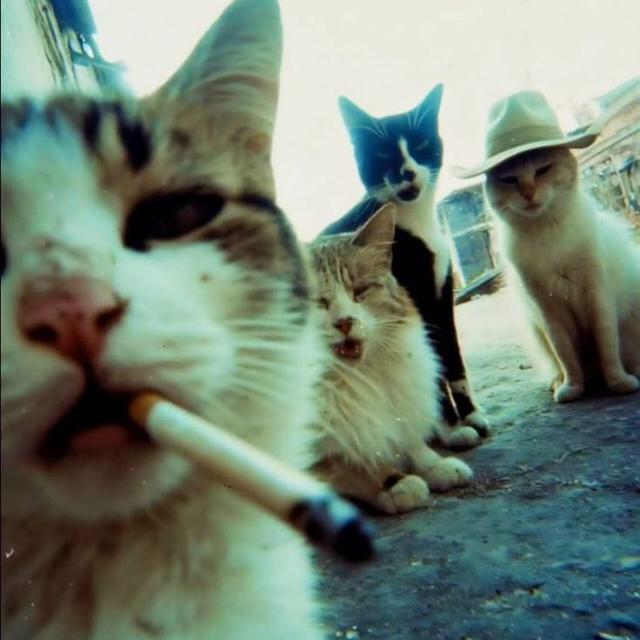 Imagem do Grupo de WhatsApp ⋘⋱𝕷𝖔𝖛𝖊𝖘 𝖉𝖆 𝖒𝖎𝖑𝖑𝖞⋰⋙