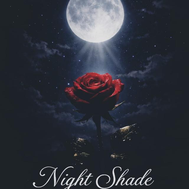 Imagem do Grupo de WhatsApp 𝐍𝐢𝐠𝐡𝐭 𝐒𝐡𝐚𝐝𝐞🌙🌹