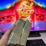Imagem do Grupo de WhatsApp MELHORES PLATAFORMAS PAGANTES  E BANCA GRÁTIS🍀